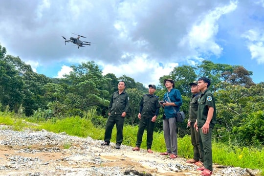 Ban Quản lý Khu bảo tồn thiên nhiên Ngọc Linh Ứng dụng công nghệ thông tin vào công tác quản lý, bảo vệ rừng
