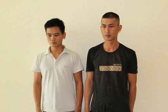 Nghệ An: Khởi tố 2 đối tượng trú tại huyện Tân Kỳ và Đô Lương lừa đảo, chiếm đoạt hơn 5 tỷ đồng