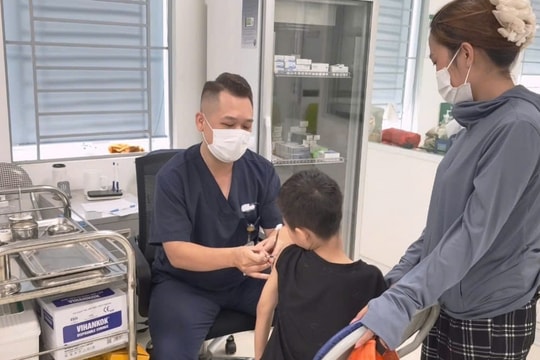 Nhiều trường hợp trẻ em bị chó cắn dịp hè