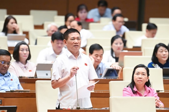 Phó Thủ tướng Hồ Đức Phớc: Nên khoán thuế với hộ có doanh thu dưới 1 tỷ đồng