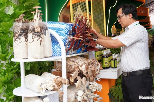 TP Hồ Chí Minh khai mạc Tuần lễ Giống, nông nghiệp công nghệ cao 2025