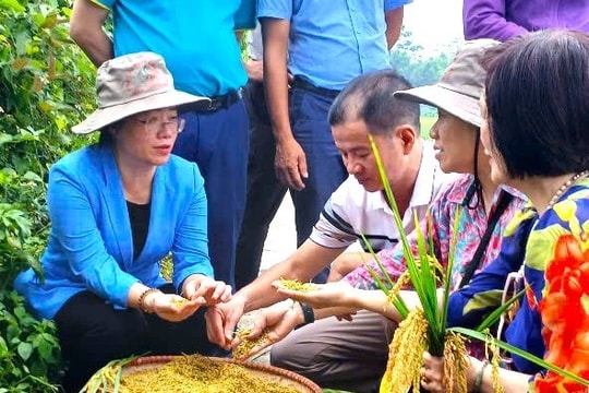 Định hướng cho nông dân canh tác vì mục tiêu sản xuất sạch