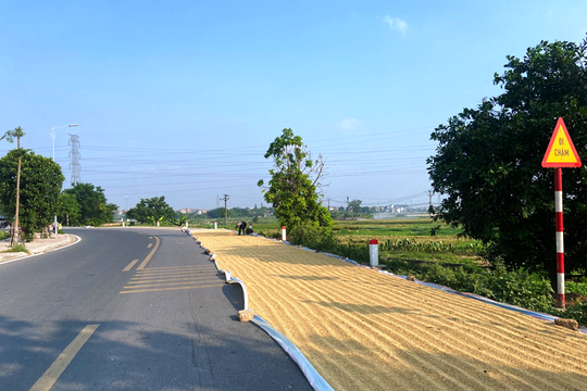 Xử lý nghiêm hành vi phơi thóc, đốt rơm rạ khu vực ngoại thành