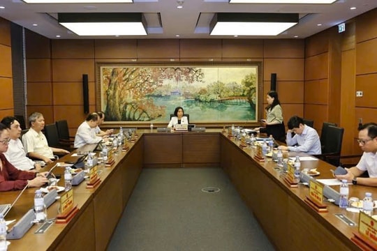 Xây dựng hệ thống pháp luật rõ ràng, tránh phát sinh "rừng luật"