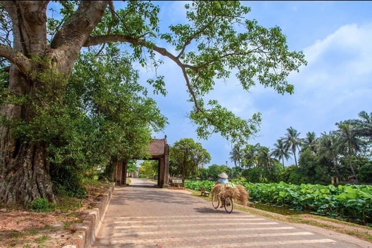 Thông tin chi tiết về 75 xã ở Hà Nội