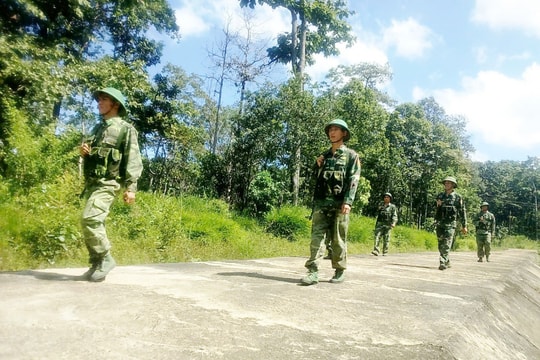 Cỏ nơi đấy xanh hơn
