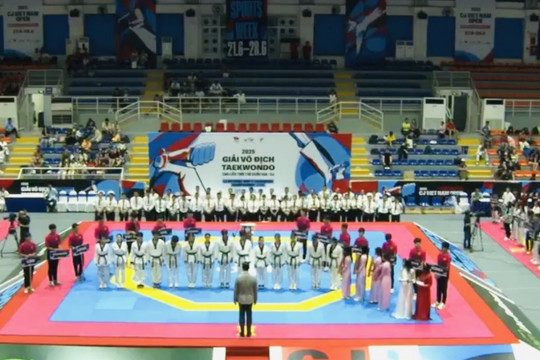 Hai giải đấu Taekwondo hấp dẫn diễn ra tại TP HCM vào cuối tháng 6/2025
