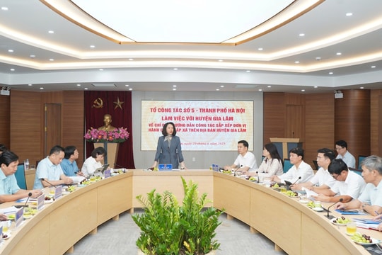Phó Chủ tịch UBND thành phố Hà Nội Vũ Thu Hà làm việc với huyện Gia Lâm về công tác sắp xếp đơn vị hành chính cấp xã