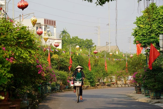 Môi trường nông thôn Hà Nội: Nỗ lực đồng bộ hướng tới bền vững
