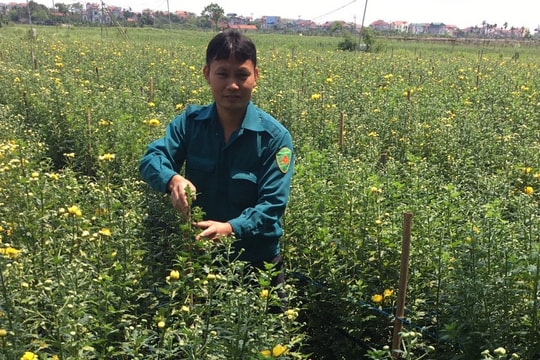 Cho phép sử dụng địa danh “Tam Thuấn” để đăng ký nhãn hiệu tập thể “Hoa Tam Thuấn”