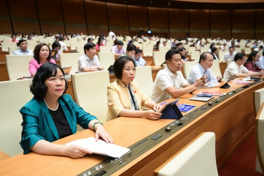 Không áp dụng cơ chế đặc biệt với quy định về hạn chế quyền con người, quyền công dân