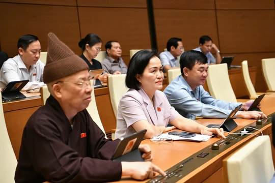 Chính phủ được ban hành nghị quyết điều chỉnh quy định trong luật nếu có vướng mắc