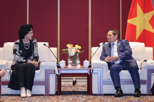 Thủ tướng tiếp Giám đốc Trung tâm Nghiên cứu Đặc khu kinh tế Trung Quốc (Đại học Thâm Quyến)