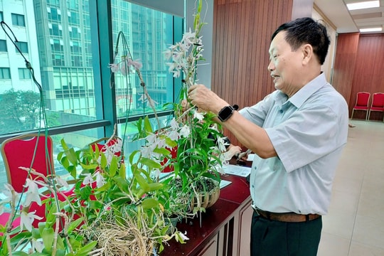 Hà Nội hướng tới nền sản xuất rau – hoa chất lượng cao, bền vững