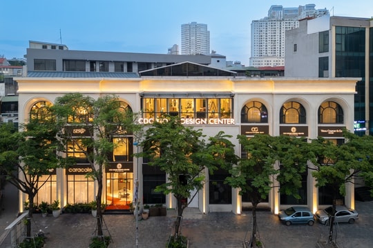 Showroom CDC Maison Hanoi - không gian dành cho giới mộ điệu