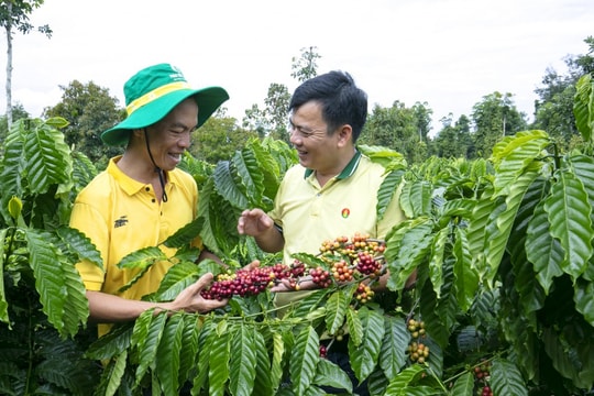 Doanh nghiệp phân bón ổn định giá bán dù nguyên liệu nhập khẩu tăng