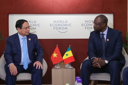 Senegal mong muốn Việt Nam tiếp tục hỗ trợ sản xuất lúa gạo và hạt điều