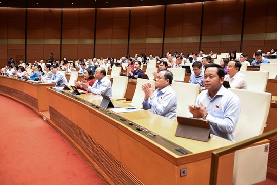 Các lĩnh vực Việt Nam tham gia lực lượng gìn giữ hòa bình của Liên hợp quốc