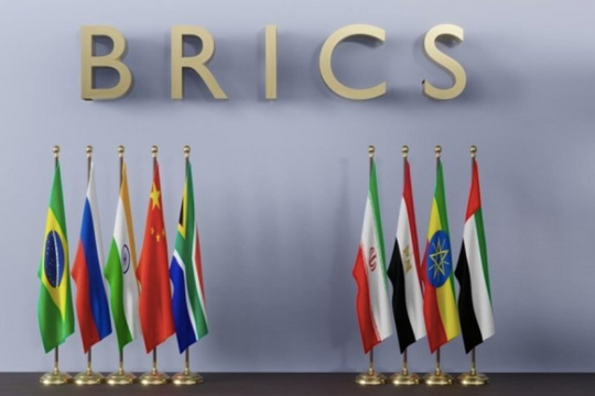 Chủ tịch Trung Quốc, Tổng thống Nga không dự hội nghị thượng đỉnh BRICS ở Brazil
