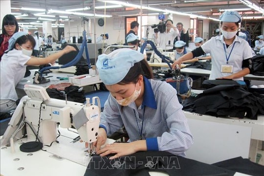 Đề xuất phạt tù, phạt tiền tới 400 triệu đồng đối với hành vi sa thải lao động trái luật