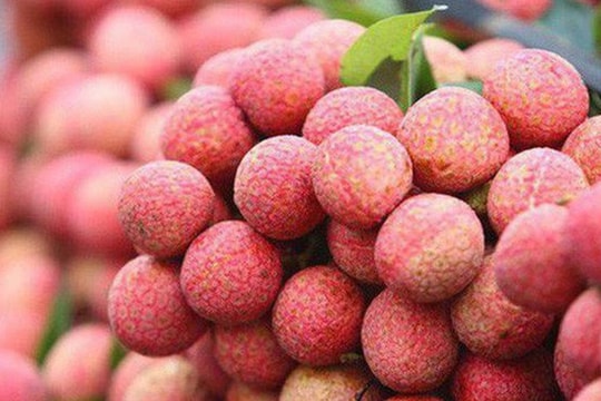 Gỡ khó cho nông sản xuất khẩu chính vụ