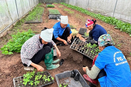 Nông nghiệp tạo không gian sống chất lượng cao