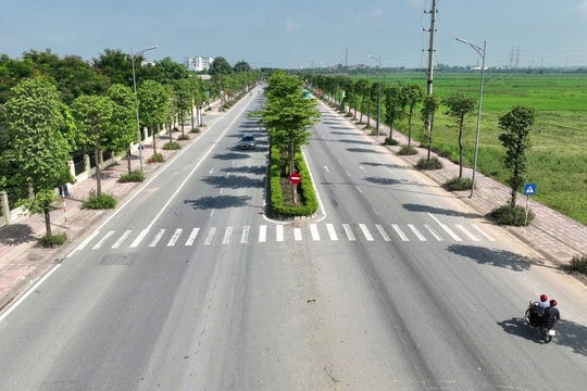 Cho thuê gần 3.700m2 đất tại xã Bích Hòa (huyện Thanh Oai) để xây dựng cửa hàng xăng dầu Pimex