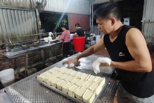 Bìa đậu Bá Dương Nội - hương quê giữa lòng phố thị