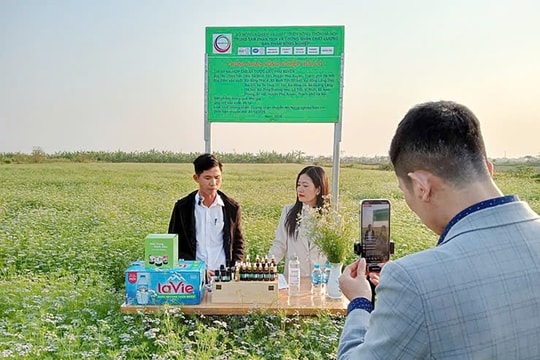 "Gieo mầm số" cho đất nghề Phú Xuyên