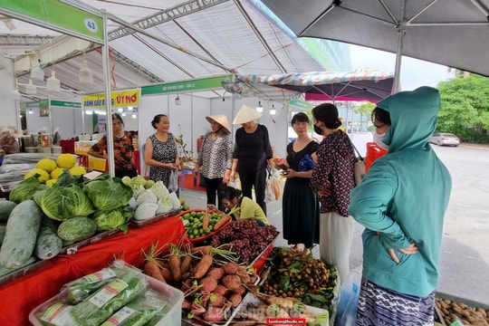 Tăng cường vai trò của các địa phương trong việc bảo vệ quyền lợi người tiêu dùng