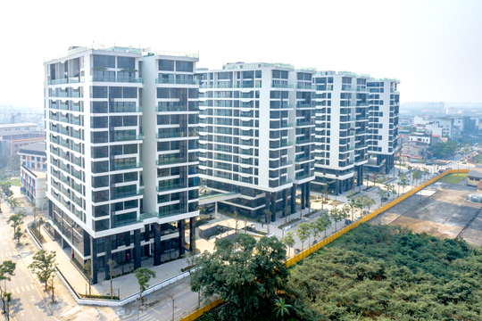 Sunshine Group livestream đặt giá căn hộ vào 1-7 chỉ với giá khởi điểm bằng 50% giá thị trường