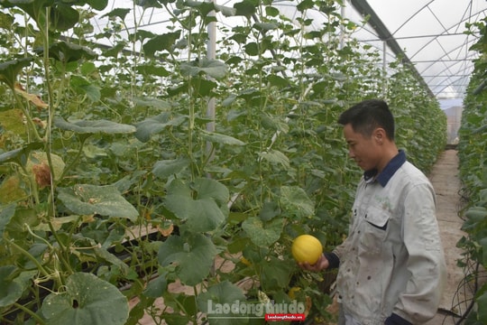 Chuyển đổi xanh: Cuộc chơi không của riêng ai