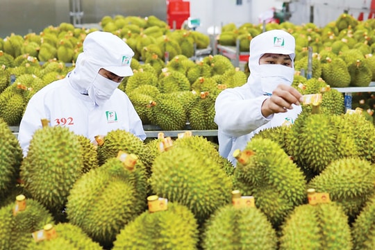 Tin tức đặc biệt trên báo in Hànộimới ngày 30-6-2025