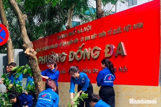 Phường Đống Đa (mới) hoàn thành công tác chỉnh trang đường phố, trụ sở