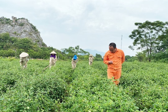 Phát triển sản phẩm OCOP từ tài nguyên bản địa