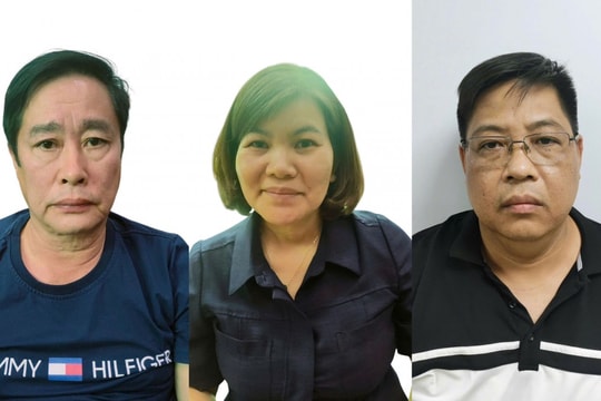 Công an Hà Nội bắt 3 lãnh đạo cấp cao Trung tâm pháp y tâm thần khu vực miền núi phía Bắc