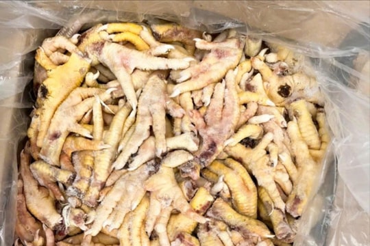 Xuất khống 1.400 tấn chân gà đông lạnh để buôn lậu, trốn thuế