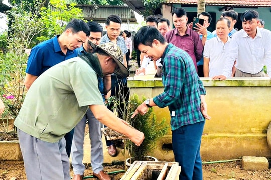 Đoài Phương xây dựng nông thôn mới gắn với phát triển kinh tế