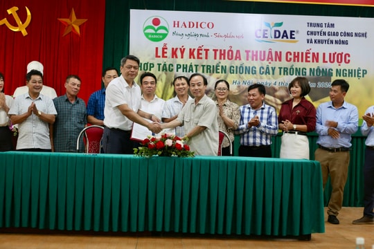 Hà Nội tăng cường hợp tác phát triển giống cây trồng
