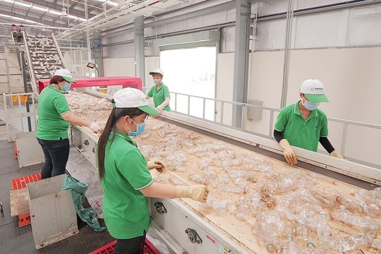 Tiêu dùng bền vững hướng đến kỷ nguyên xanh: Doanh nghiệp cần cú hích về công nghệ
