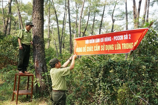 Tăng cường thực hiện công tác quản lý bảo vệ rừng, phòng cháy, chữa cháy rừng