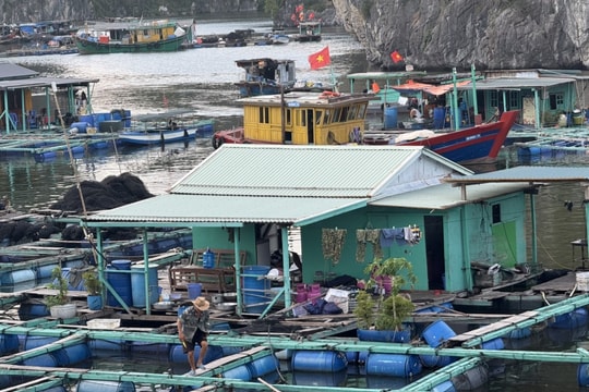 Làng chài Cái Bèo và hành trình trở lại nguyên sơ