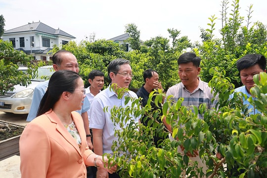 Xây dựng các chi hội nông dân gắn với thế mạnh từng địa phương
