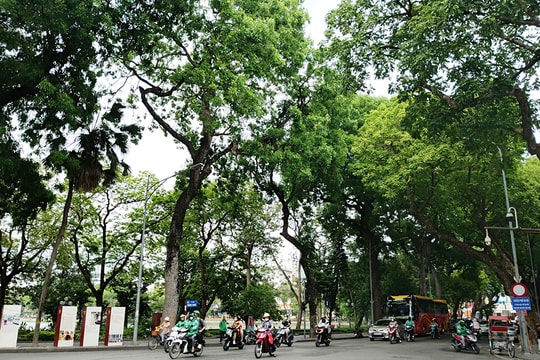 Bắc Bộ nắng nóng, có nơi trên 35 độ C