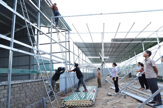 Xã Hồng Vân ngăn chặn 30 trường hợp vi phạm đất đai, trật tự xây dựng