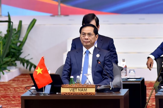 Việt Nam đề cao vai trò Hiệp ước Khu vực Đông Nam Á không có vũ khí hạt nhân