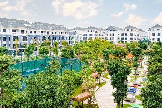 “Thị trấn bên biển” San Hô - Điểm vào chiến lược trước chu kỳ tăng giá mới
