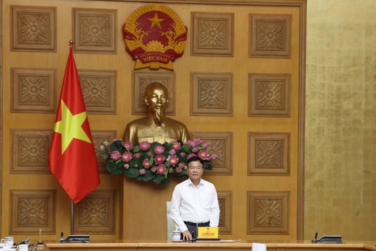 Phó Thủ tướng Lê Thành Long: Nghiên cứu xây dựng tiêu chuẩn, tiêu chí về sức khỏe khi hoạch định chính sách