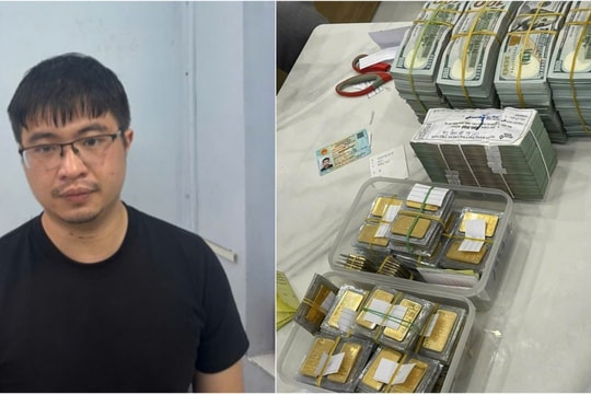 Bài học từ vụ lừa đảo Mr Pips