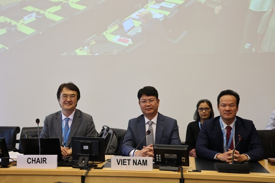 Việt Nam nỗ lực thực hiện các cam kết quốc tế về quyền con người